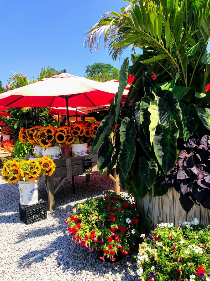 Long Island Wine Trail • WineDivaa