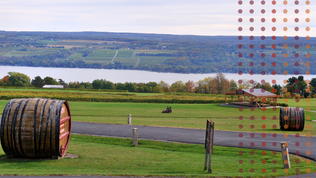 Tips and Tricks for your next Finger Lakes Wine Trip - Winedivaa