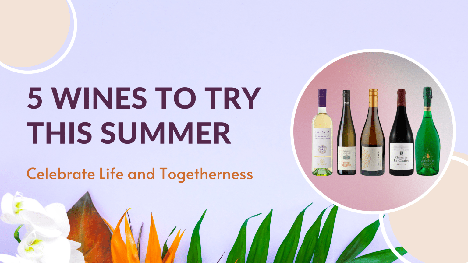 5 Wines To Try This Summer • WineDivaa